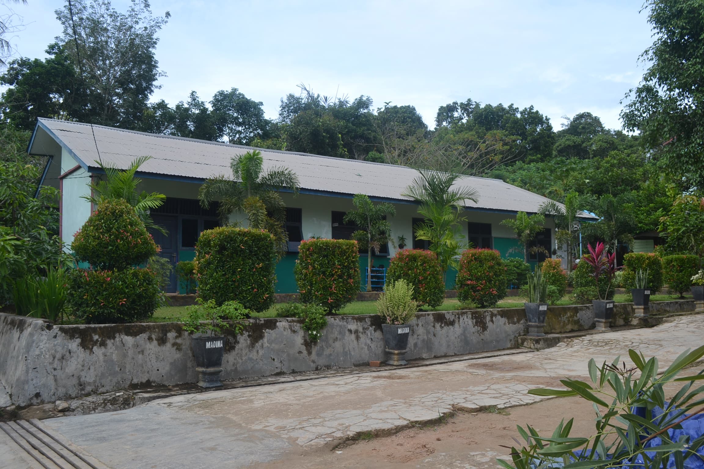 Deretan ruang kelas SMK Terpadu Madina dengan taman di depannya dan hutan di belakang